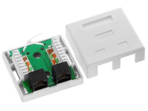 Acconet CAT5e Double RJ45 Wall Box | CAT5-BOX-2